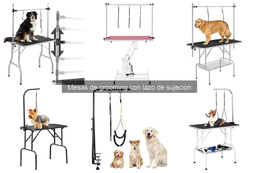 Dónde comprar mesas de grooming con lazo de sujeción online