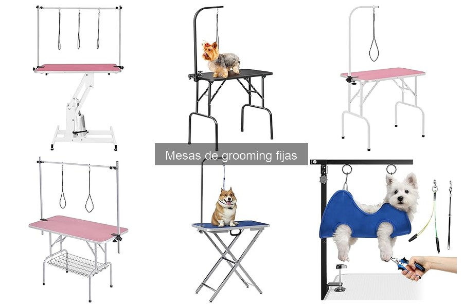 Dónde Comprar Mesas de Grooming Fijas de Calidad