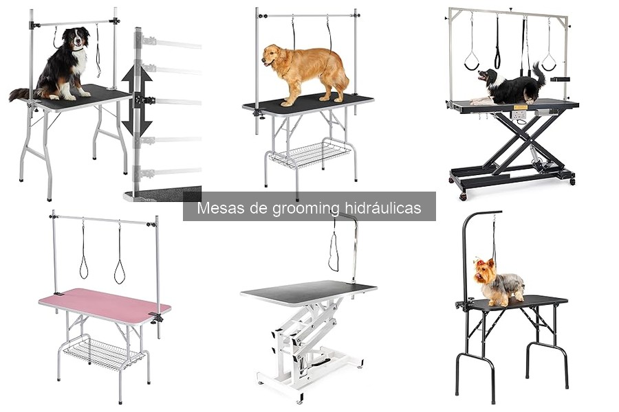Dónde comprar mesas de grooming hidráulicas para mascotas