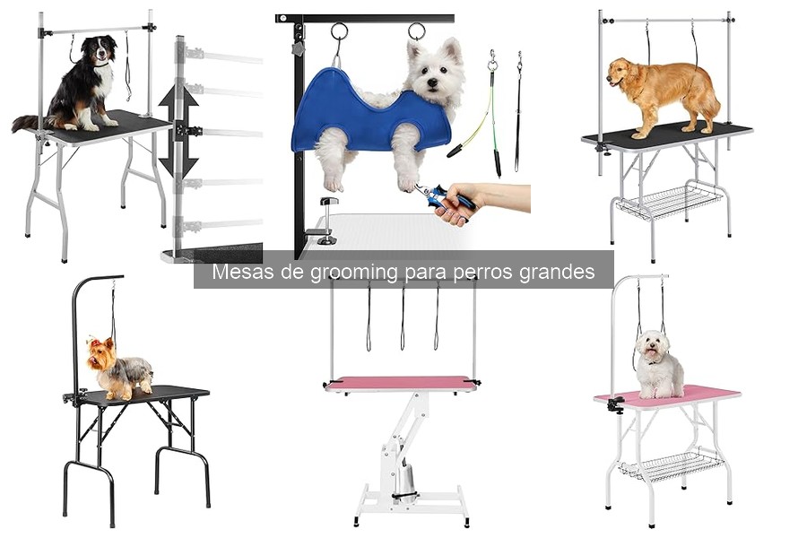 Dónde comprar mesas de grooming para perros grandes