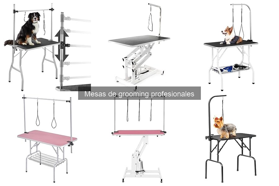 Dónde comprar mesas de grooming profesionales online