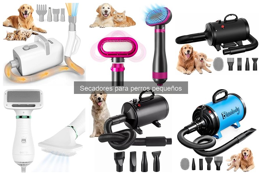 Dónde comprar secadores para perros pequeños: tiendas y opciones