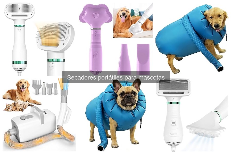 Dónde comprar secadores portátiles para mascotas: ¡ofertas y más!