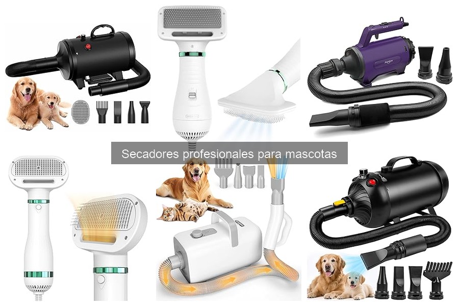 Dónde comprar secadores profesionales para mascotas a buen precio