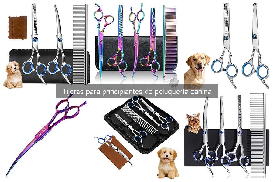 Dónde comprar tijeras para peluquería canina: tiendas y ofertas