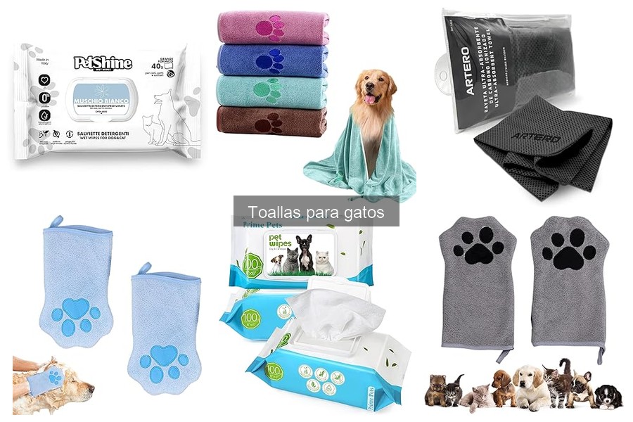 Elige la mejor toalla para gatos de pelo largo