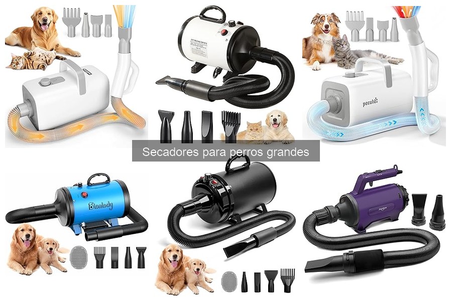 Errores al elegir secadores para perros grandes: ¡Evítalos!