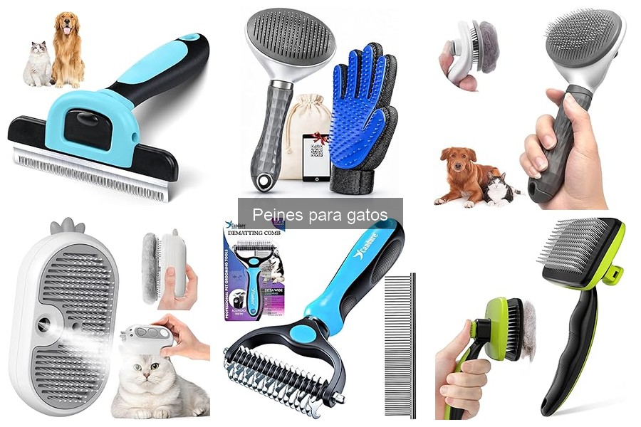Errores al Elegir un Peine para Gatos que Debes Evitar