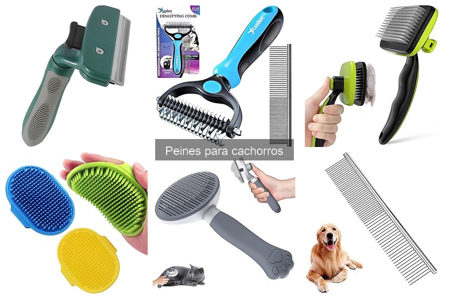 Errores al peinar cachorros y cómo evitarlos