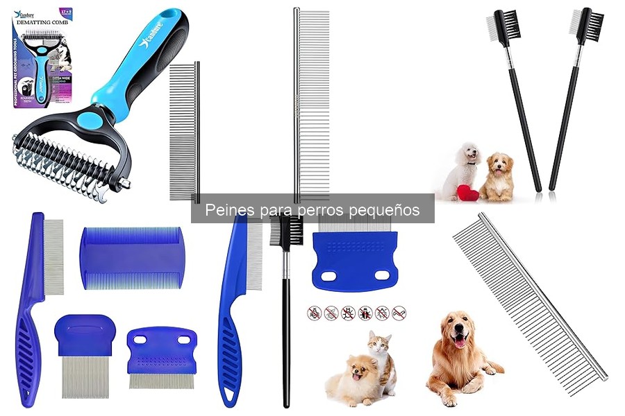 Errores al usar peines en perros pequeños y cómo evitarlos