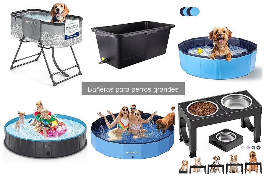 Errores comunes al elegir bañeras para perros grandes