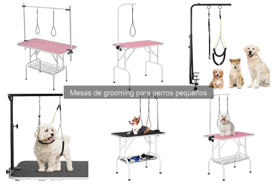 Errores comunes al elegir mesas de grooming para perros pequeños