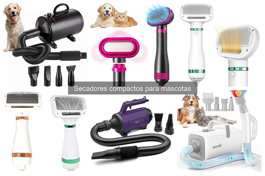 Errores comunes al elegir secadores compactos para mascotas