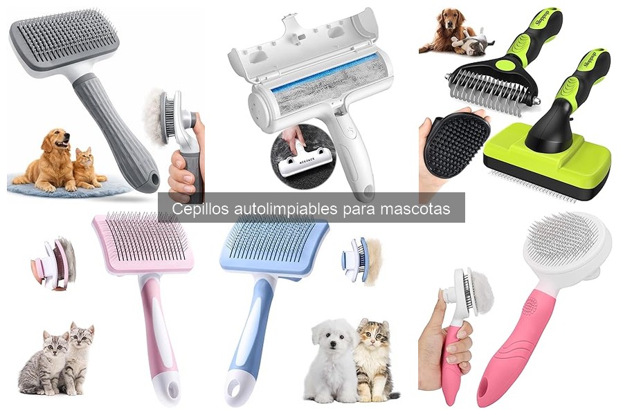 Errores Comunes al Usar Cepillos Autolimpiables para Mascotas