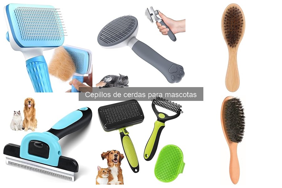 Errores Comunes al Usar Cepillos de Cerdas para Mascotas