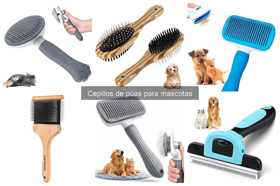 Errores comunes al usar cepillos de púas en mascotas