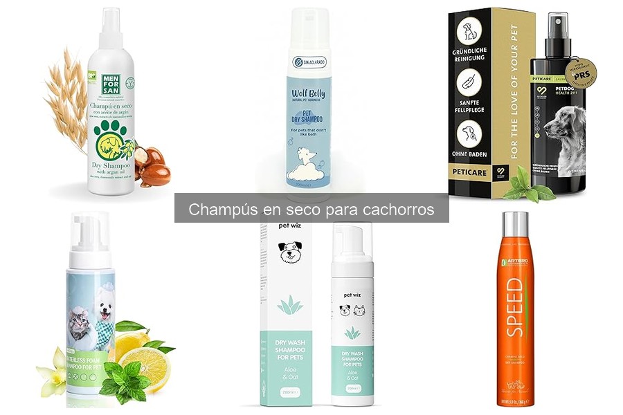 Errores comunes al usar champú en seco en cachorros