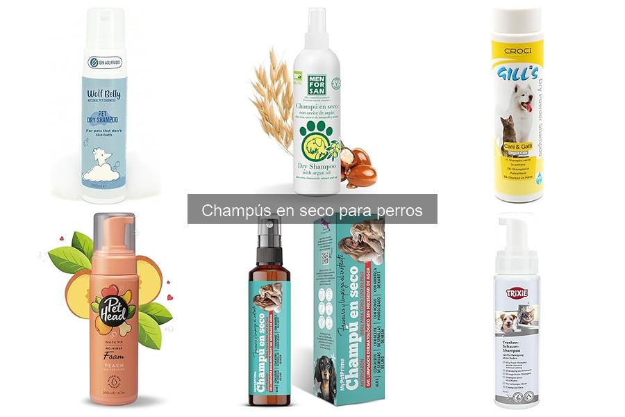 Errores comunes al usar champú en seco para perros