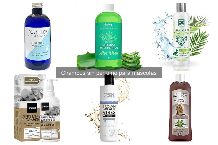 Errores comunes al usar champús para mascotas sin perfume
