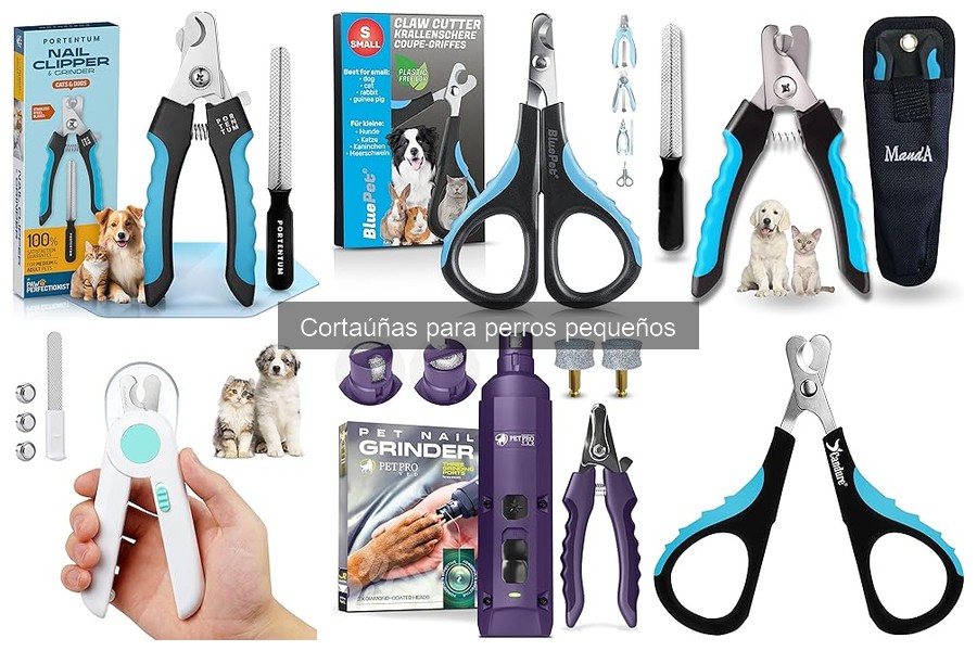 Errores comunes al usar cortaúñas para perros pequeños