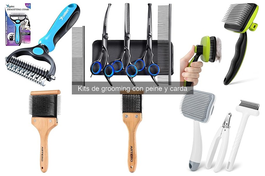 Errores comunes al usar kits de grooming con peine y carda