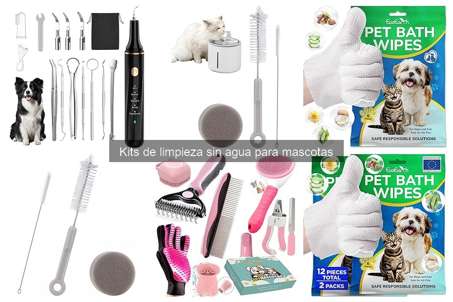 Errores comunes al usar kits de limpieza sin agua para mascotas