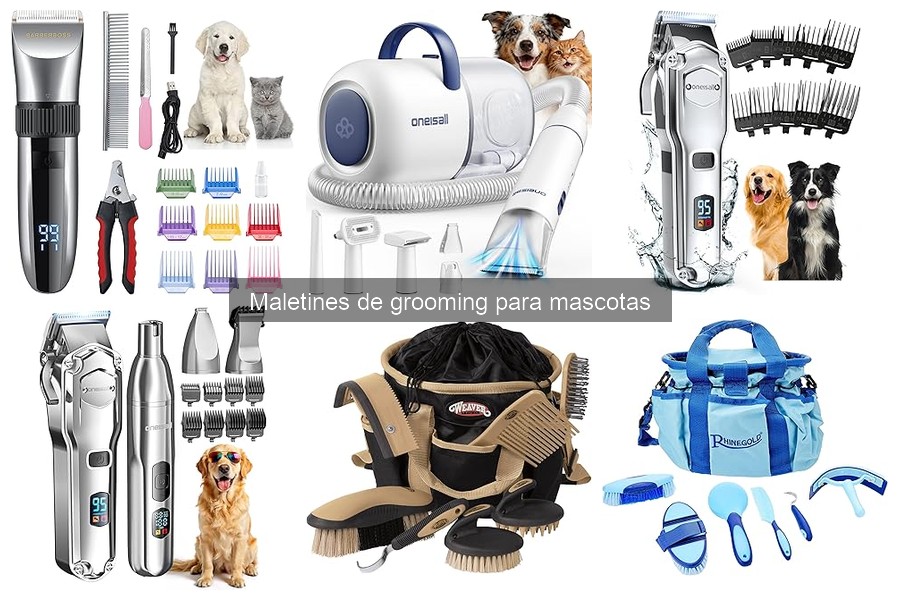 Errores comunes al usar maletines de grooming para mascotas