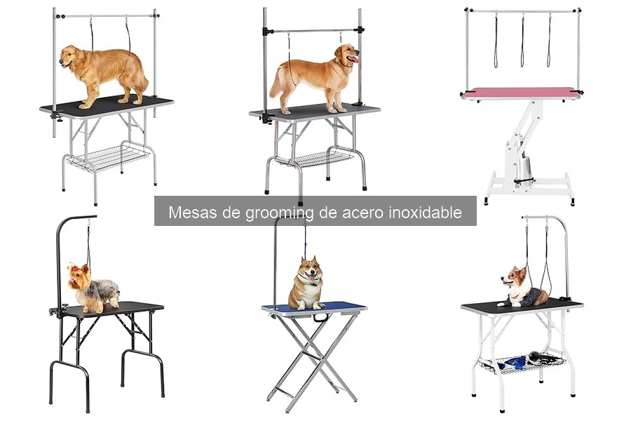 Errores comunes al usar mesas de grooming de acero inoxidable