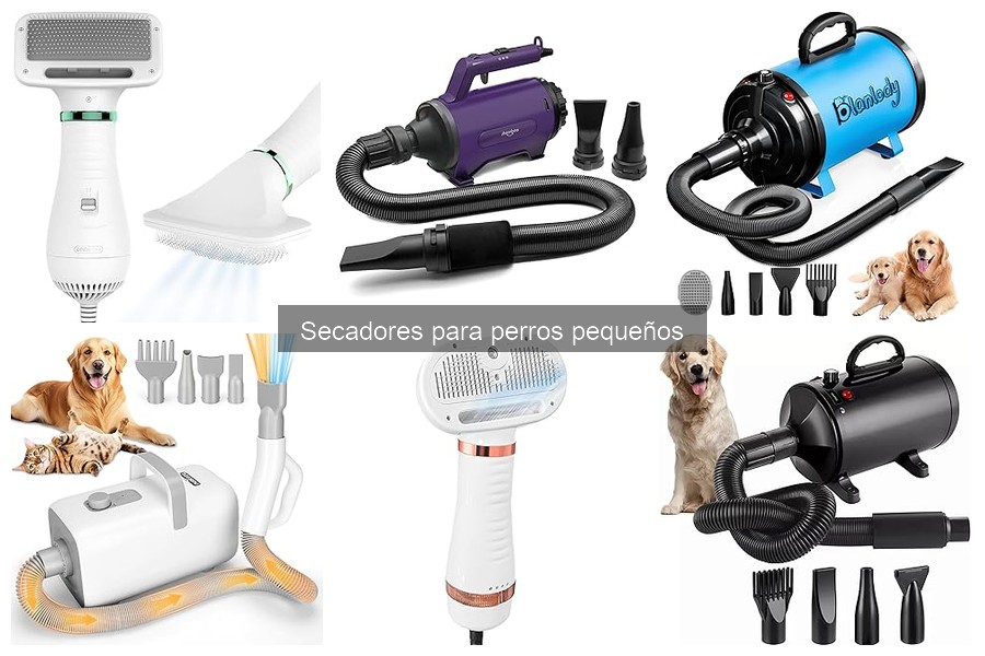 Errores comunes al usar secadores para perros pequeños