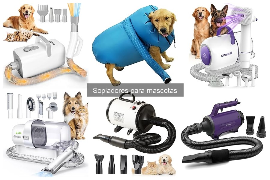 Errores comunes al usar sopladores para mascotas