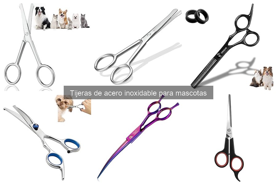 Errores comunes al usar tijeras de acero inoxidable para mascotas