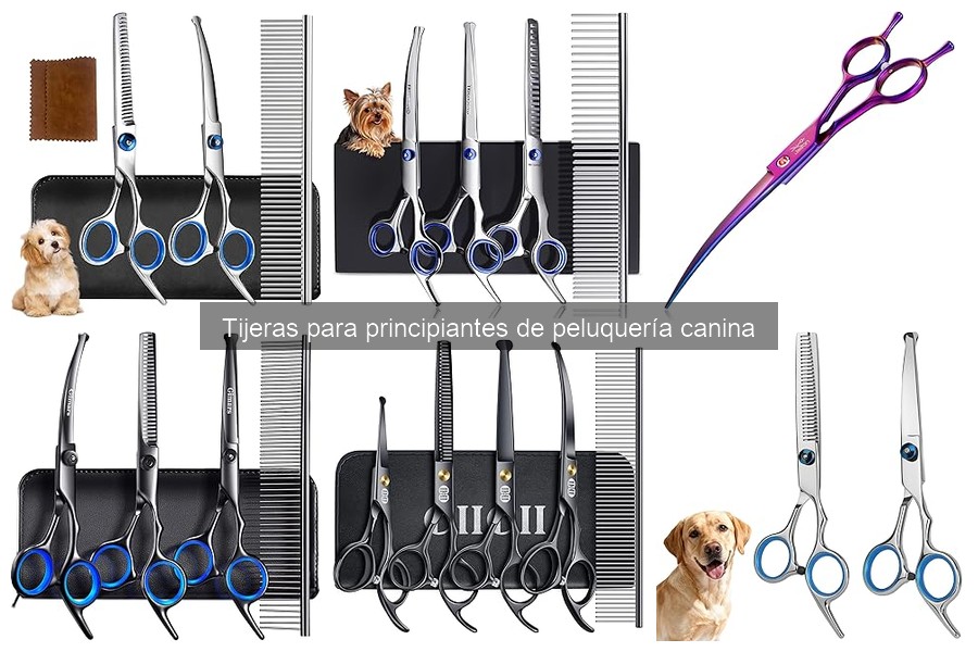 Errores comunes al usar tijeras en peluquería canina