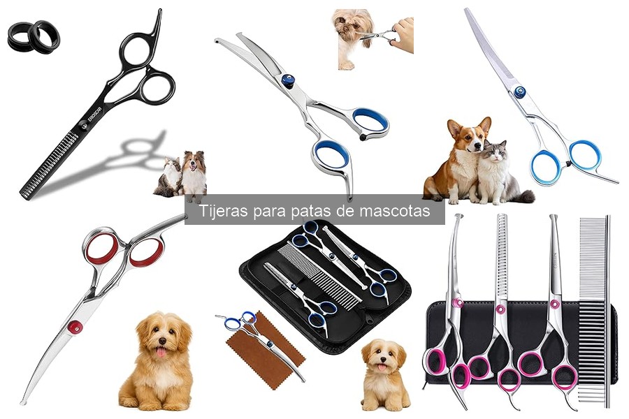 Errores comunes al usar tijeras para mascotas y soluciones