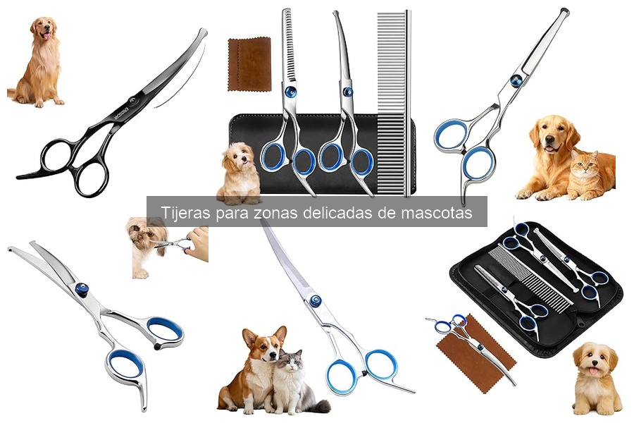 Errores comunes al usar tijeras para zonas delicadas en mascotas