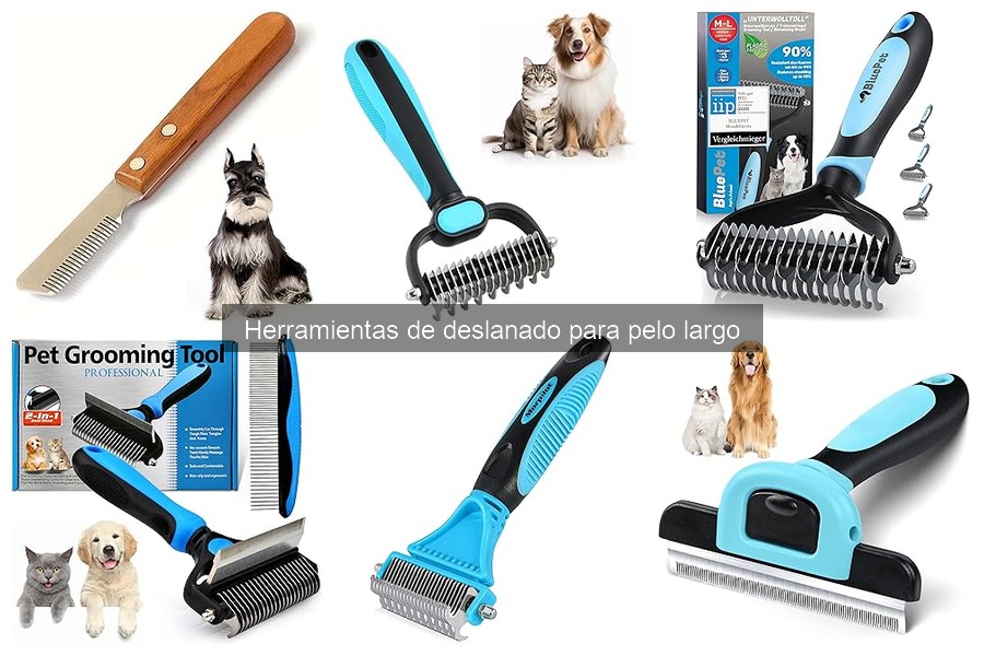 ¿Es necesario deslanar a mi perro? Beneficios y frecuencia