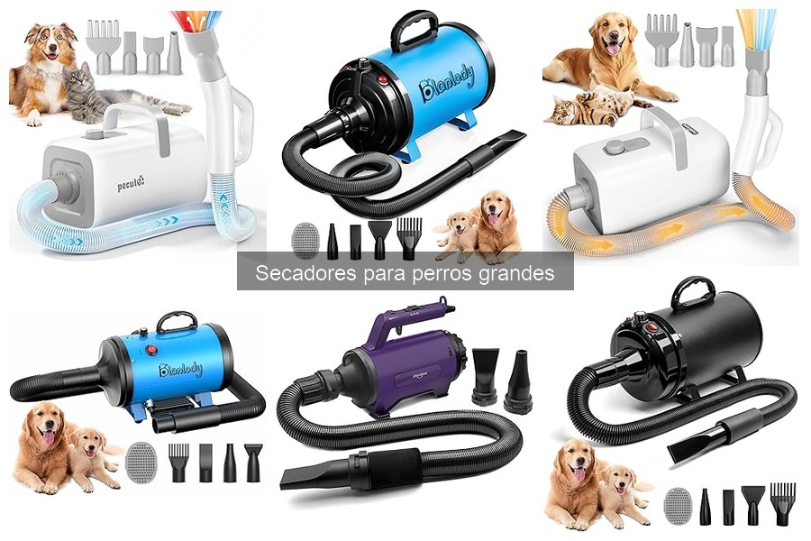 ¿Es necesario un secador para perros grandes? Descúbrelo aquí