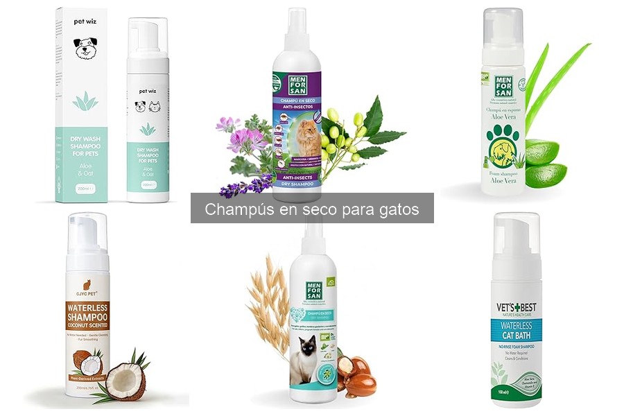 Experiencias con champús en seco para gatos: opiniones reales