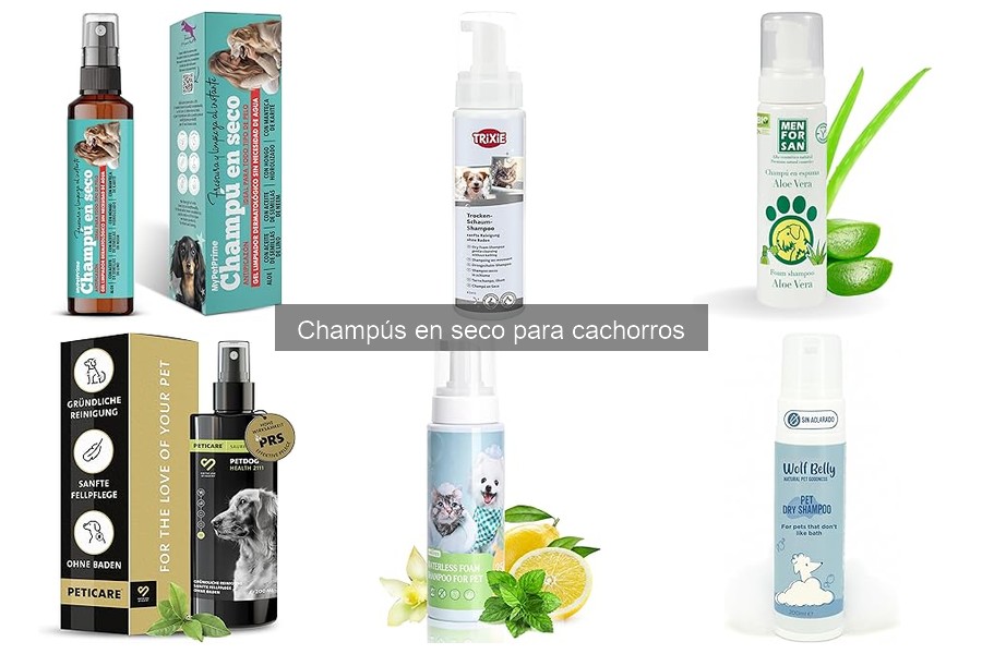 Frecuencia Ideal de Uso del Champú en Seco para Cachorros