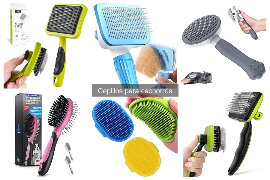 Guía de compra: Cómo elegir el cepillo ideal para cachorros