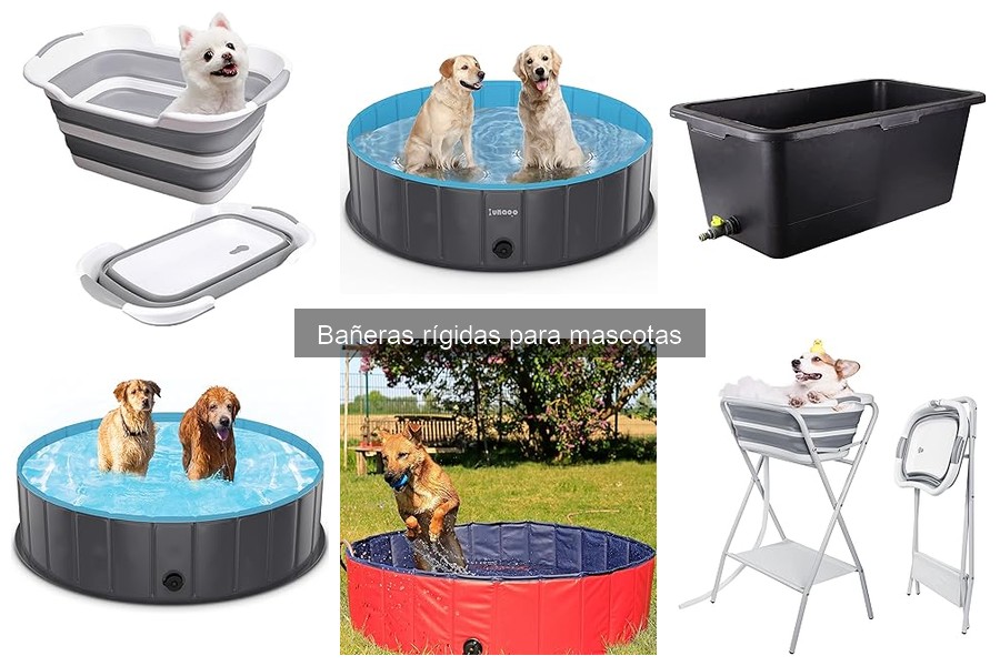 Guía de compra de bañeras rígidas para mascotas