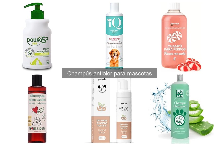 Guía de compra de champús antiolor para perros