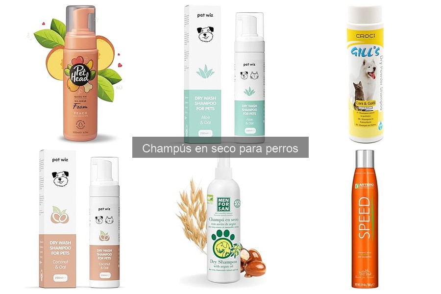 Guía de compra de champús en seco para perros