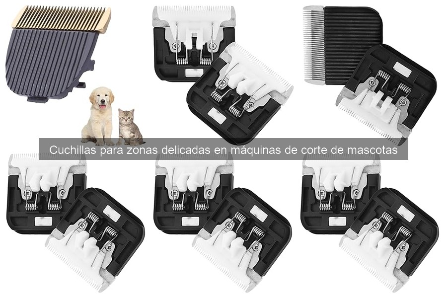 Guía de compra de cuchillas para zonas delicadas en mascotas