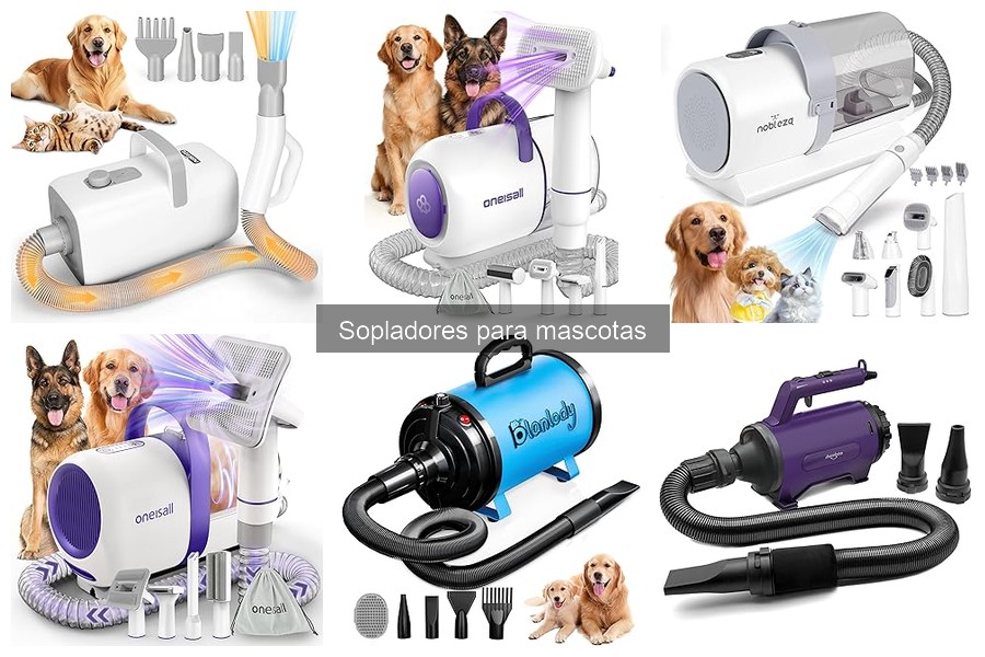 Guía de compra de sopladores para mascotas - Consejos útiles