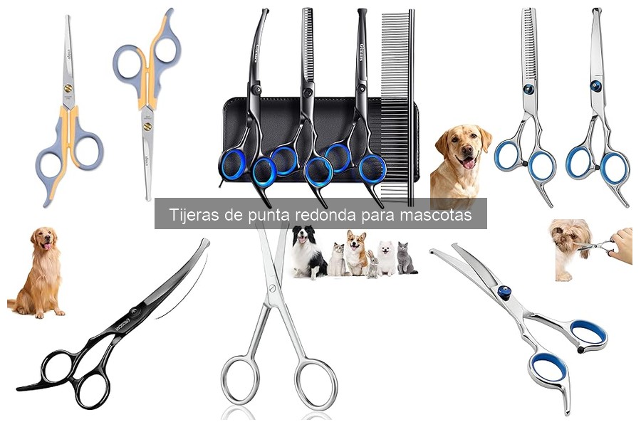 Guía de compra de tijeras de punta redonda para mascotas