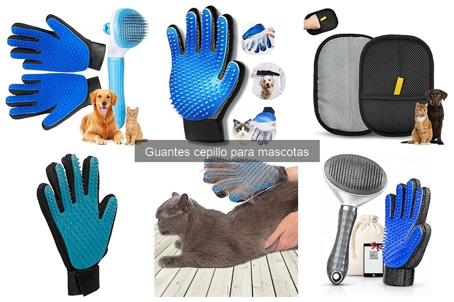 Guía de grooming en casa con guantes cepillo para mascotas
