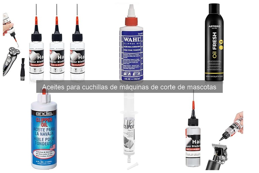 Guía de Mantenimiento de Cuchillas para Máquinas de Corte