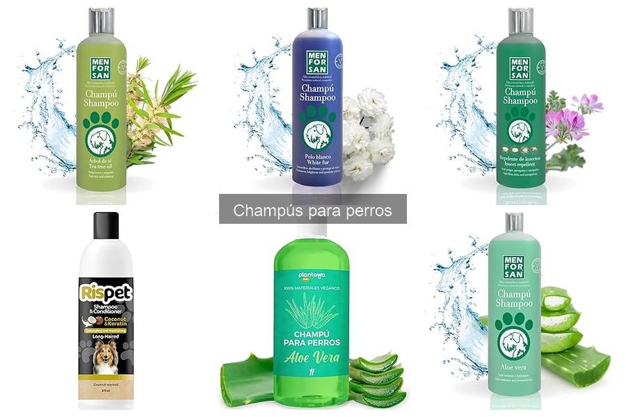 Guía para Elegir el Champú Ideal para tu Perro