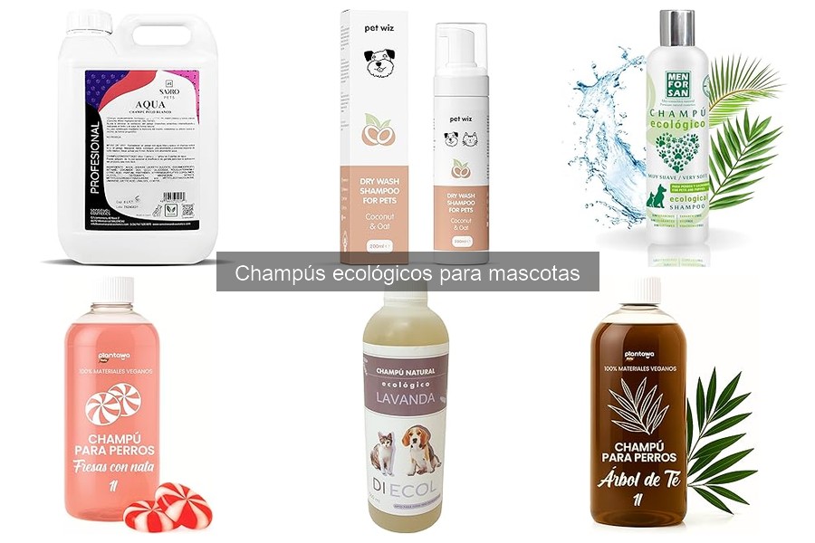 Guía para elegir el mejor champú ecológico para tu mascota