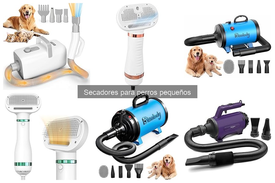 Guía para elegir el mejor secador para perros pequeños